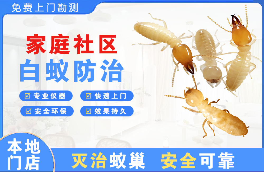 浏阳家庭社区白蚁防治