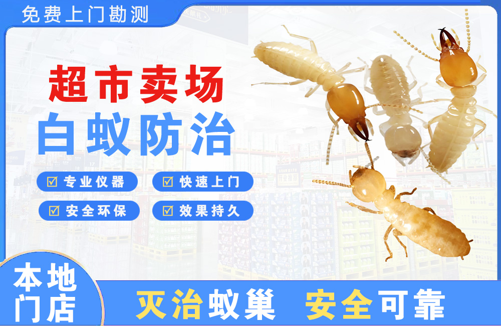浏阳超市卖场白蚁防治