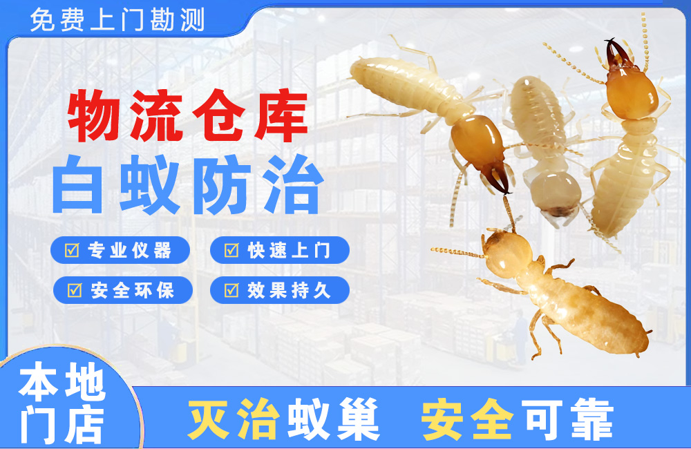 浏阳物流仓库白蚁防治
