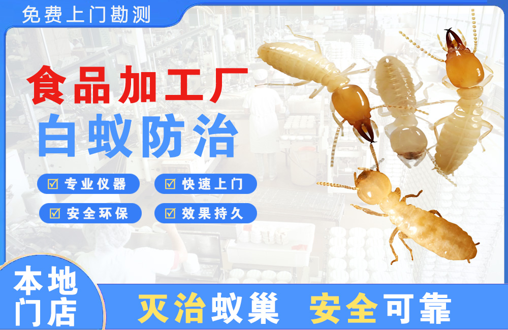 浏阳食品加工厂白蚁防治
