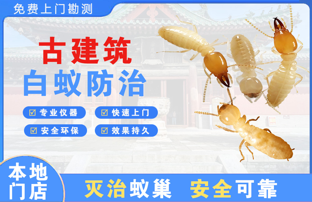 浏阳古建筑白蚁防治