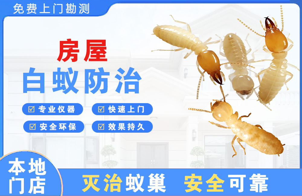 浏阳房屋白蚁防治