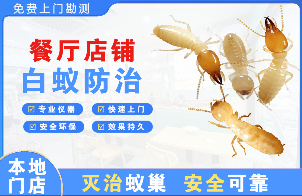 浏阳餐厅店铺白蚁防治